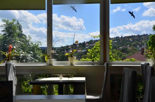 View, Hotel Viktoria Restaurant in Balatonalmadi