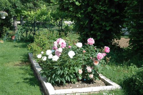 Le Jardin de Roses DOMINIQUE LOREAU