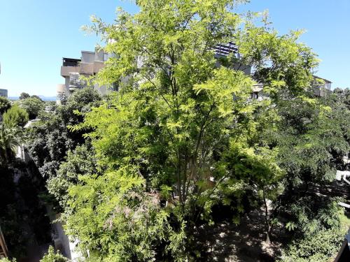 Garden, Bonaria Apartment in Elia