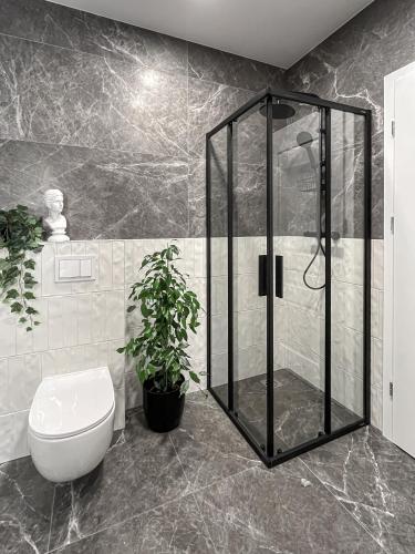 Kamurke - Apartamentai – Šiauliai, TX