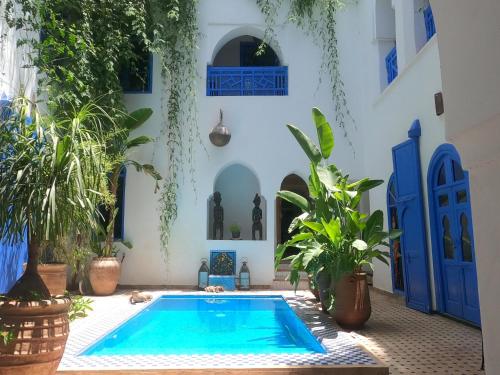 Riad Chameleon - Hotel - Marrakech