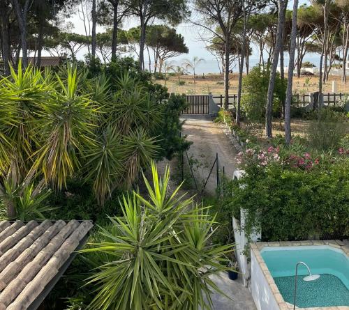 Al Mare Home gîte à louer Foxi'e Sali