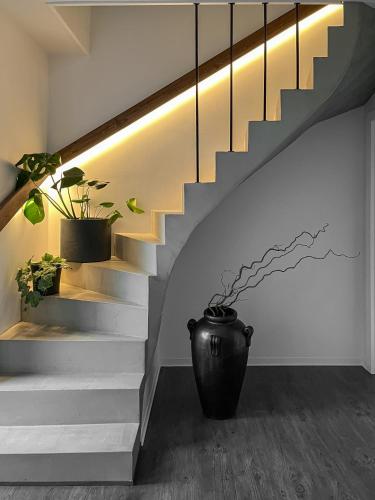 Kamurke - Apartamentai – Šiauliai, TX