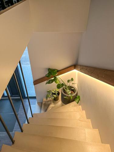Kamurke - Apartamentai – Šiauliai, TX