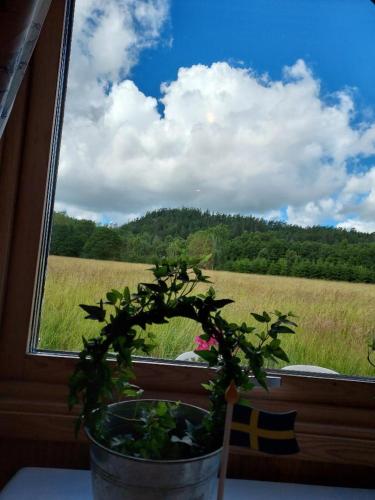 Algbergets Bed & Breakfast photo