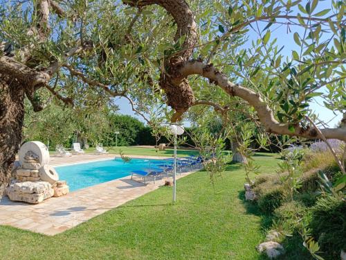 Swimming pool, Masseria Galleppa - Rooms, Pool and Relax in Macchia di Monte