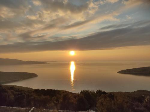 House Tuna in Ustrine
