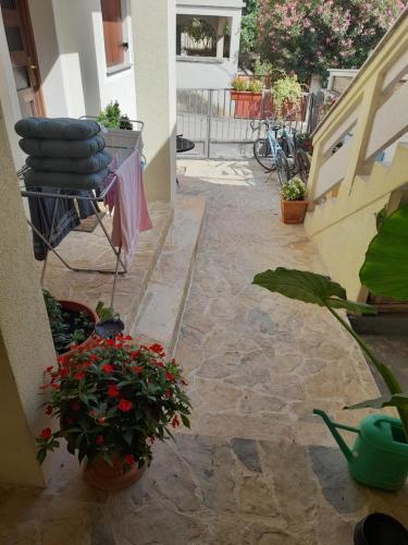  Apartment Dukic in Sveti Filip i Jakov