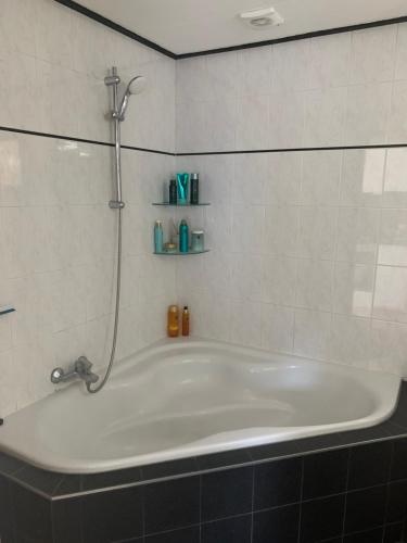 Het Egeltje Het Egeltje