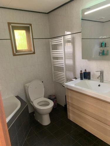 Het Egeltje Het Egeltje