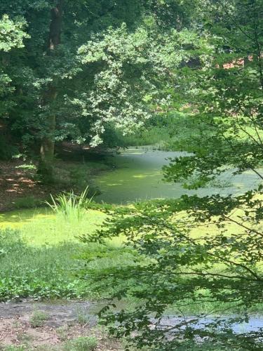 Het Egeltje Het Egeltje