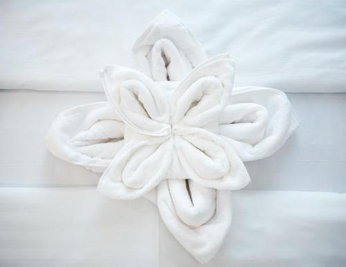 Vila Noblesse – Sovata, WI