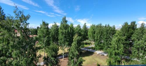 Surrounding environment, Valjastehdas in Oulu