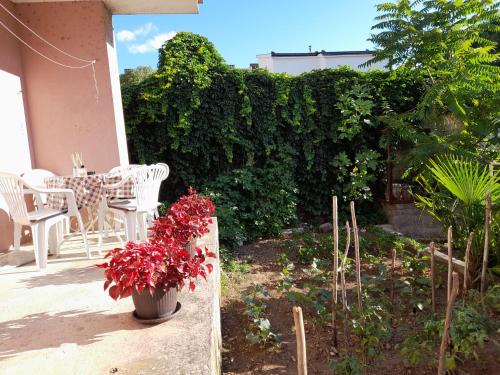Apartman Avdić - image 4
