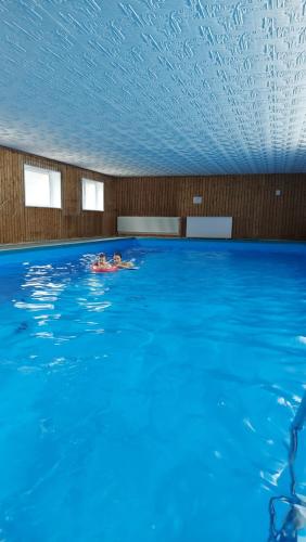 Ferienwohnung am Waldsee mit Schwimmbad - Apartment - Gernsbach