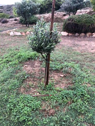 Beachfront Secluded Villa in Paros gîte à louer  Vaucluse