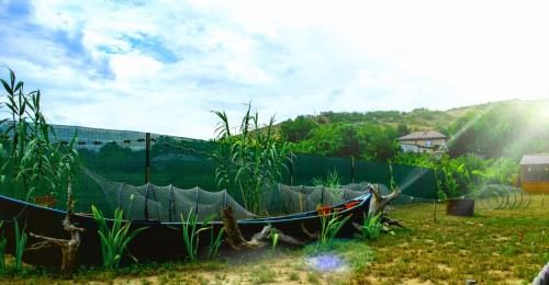 บริการและสิ่งอำนวยความสะดวก, "La Aurel" Mahmudia in มาห์มูเดีย