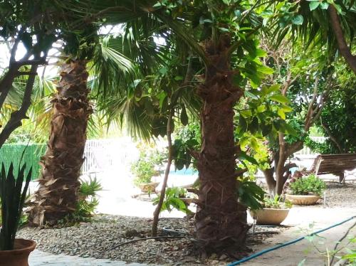  Cortijo del Sidi in Los Tablones