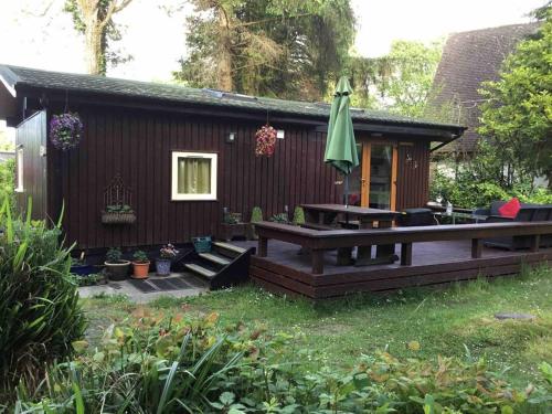 lovely log cabin on woodland site