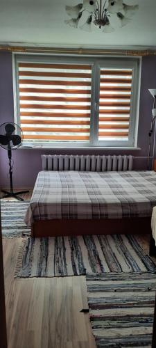 Day & Night Anykščiai Day & Night Anykščiai