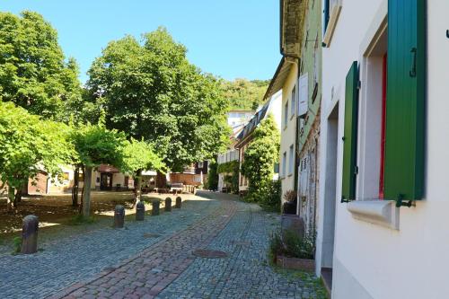 Löwe Apartments "Gold" Tiengen Altstadt