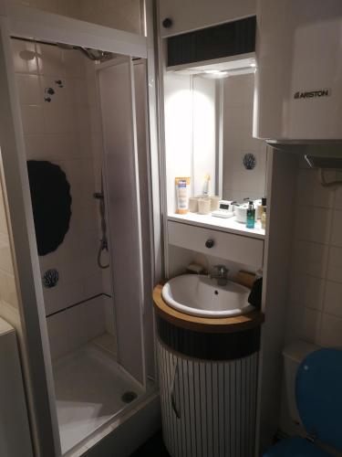 ห้องน้ำ, Appartement 2 pièces entièrement rénové (Appartement 2 pieces entierement renove) in วีล ซูร์ แมร์