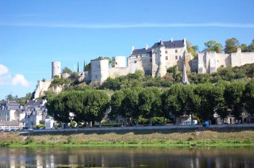 Studio Centre Ville Chinon - Location saisonnière - Chinon