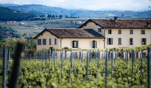 Dimora Buglioni Wine Relais 5