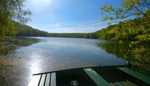 Nature Cottage Villa for 4 people 5 gîte à louer Bourgeon