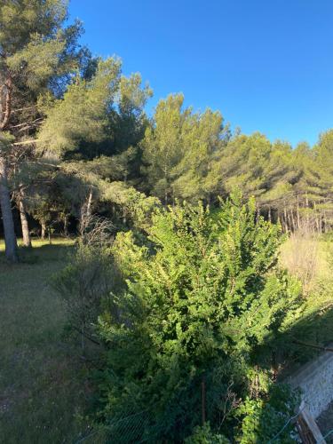 La cigales - Location saisonnière - Martigues