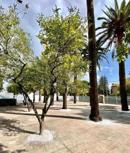 Los Almendros - Free Parking, Córdoba (fotografie 11)