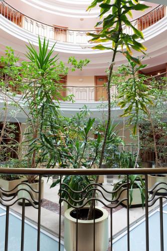Hotel Hoyuela - image 9