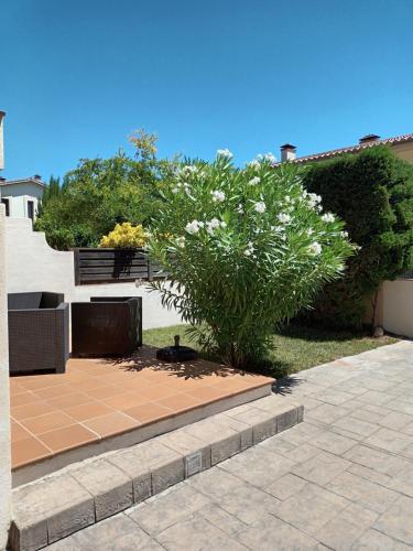 tuin, Villa L'Estartit in La Torre Vella