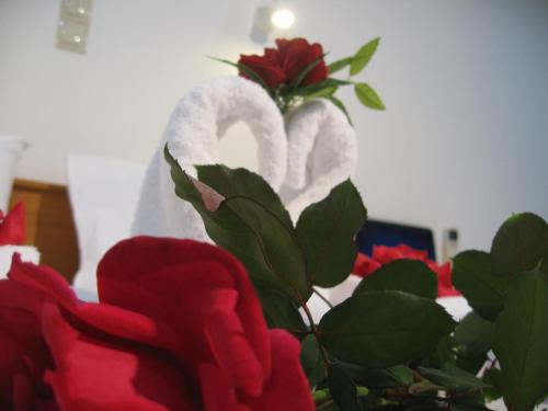 Despina Studios, Agia Marina Nea Kydonias (photo 3)