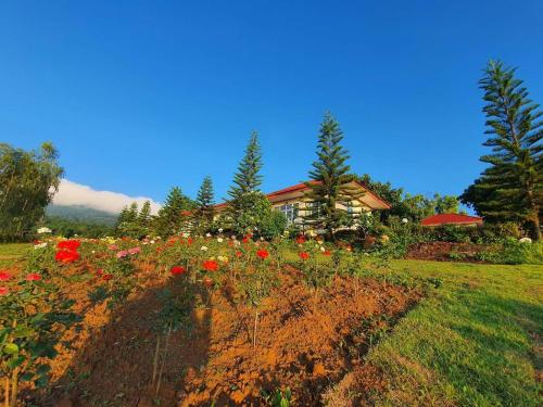 sala de TV, Phuyafahsai The Resort Khao Kho in Khao Kho