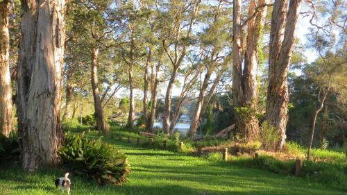 Alrededores, Twenty on Lake in Costa Central
