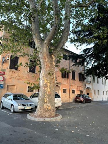 Apartments Nina in Koper