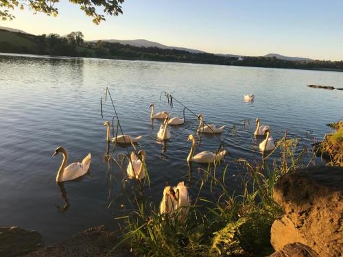 Lakeside Lookout Bantry