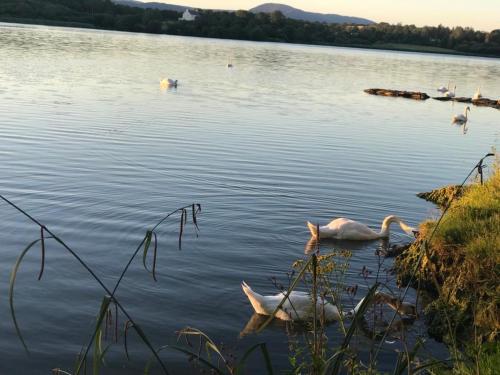 Lakeside Lookout Bantry