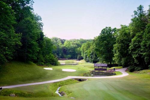 Lake Lure Condo with Resort Perks on Golf Course! - image 12