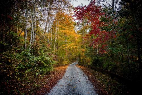 Indoor Pool and Golf Course Views Lake Lure Condo! Indoor Pool and Golf Course Views Lake Lure Condo!