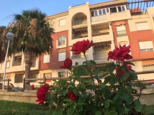 Apartamento Playa Calahonda El Farillo con terraza