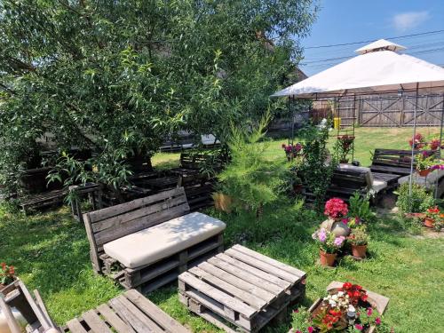 Old Court in Curtea De Arges