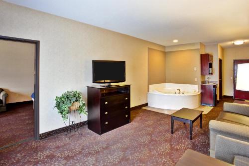 Holiday Inn Express Hotel & Suites Woodhaven an IHG Hotel - image 29