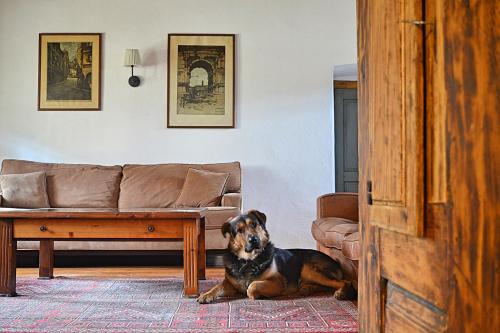 Zuzmó Guesthouse, Jósvafő, Aggtelek National Park - Stylish 150 year old farmhouse for 10 guests