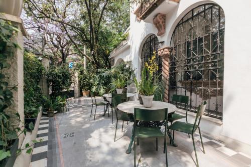 Orchid House Polanco Orchid House Polanco