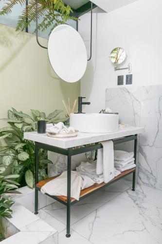 Orchid House Polanco Orchid House Polanco