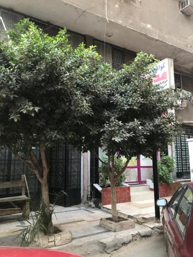 Near Lebanon Square Apartment