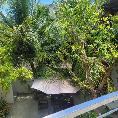Palm Residence Room Type - Queen Room with Balcony