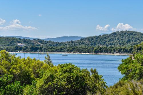 Apartments Villa L&M Skiathos - image 12